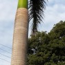 albergue-rocio-4